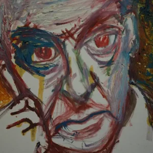 Vladimir Nabokov (inachevé)